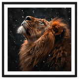Lion Looking Up In The Snow Majestic thumbnail