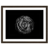 Backyard Flowers In Black And White No 72 with Border thumbnail