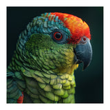 Close Up Colorful Parrot Bird Feather (Print Only) thumbnail