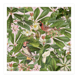 Tropical Bird Garden (Print Only) thumbnail