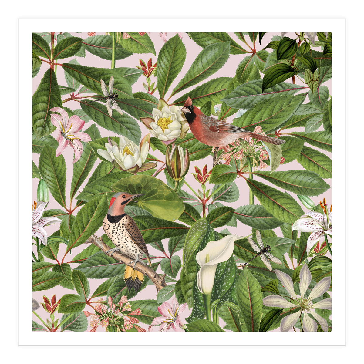 Tropical Bird Garden (Print Only)