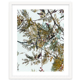 Patterns In Nature thumbnail