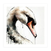 Watercolor Swan Portrait (Print Only)