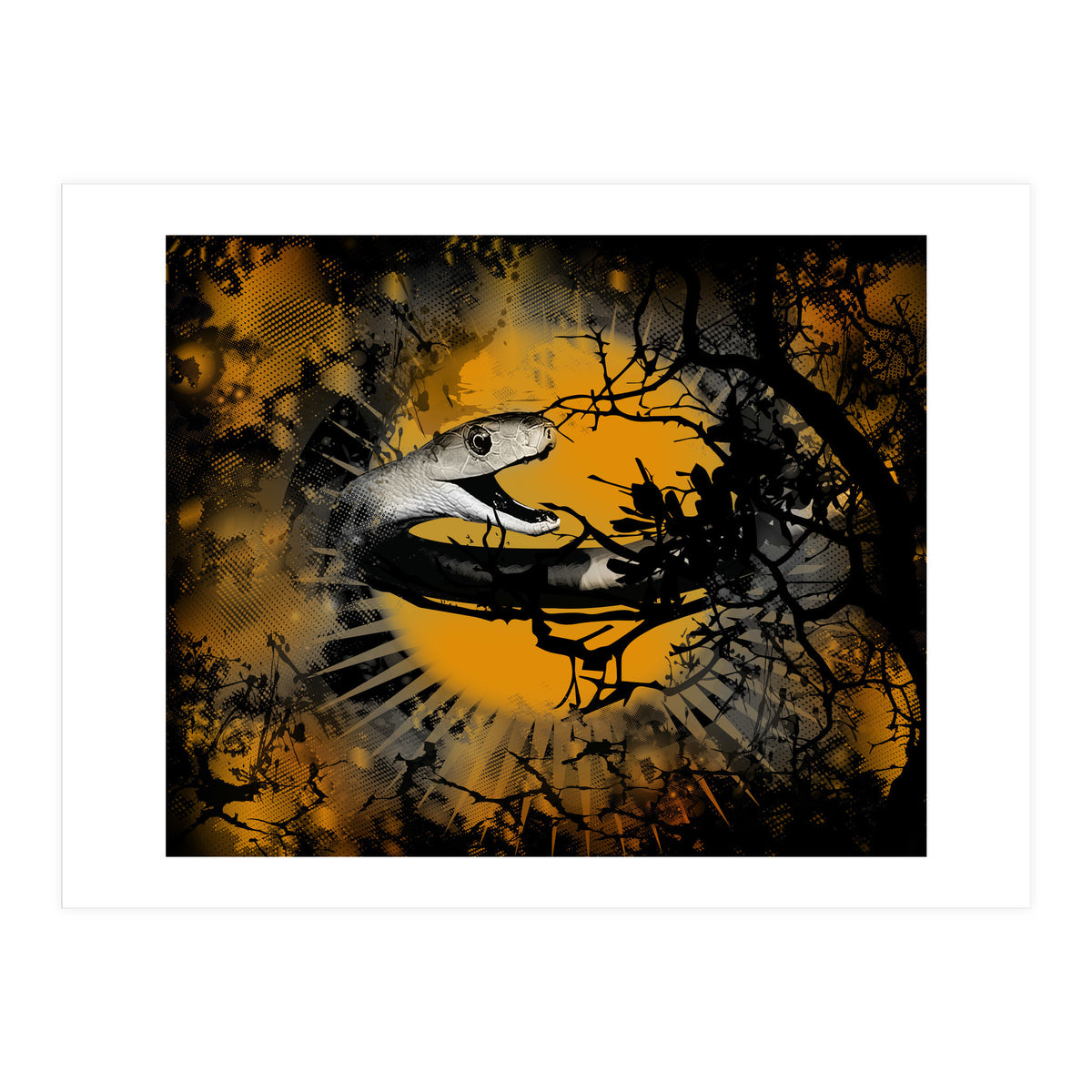 Black Mamba  (Print Only)