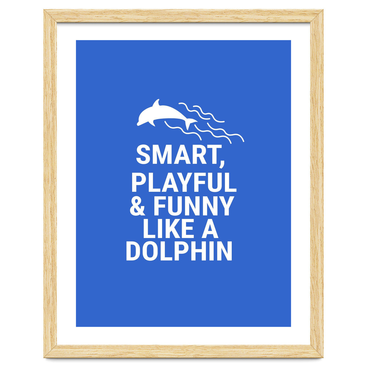 Smart, playful and funny like a dolphin