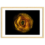 Backyard Flowers No 72 Color Version thumbnail