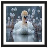 Swan Floating Serene On Calm Water thumbnail