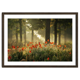 The poppy forest thumbnail