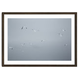 Flying seagulls in the winter sky thumbnail