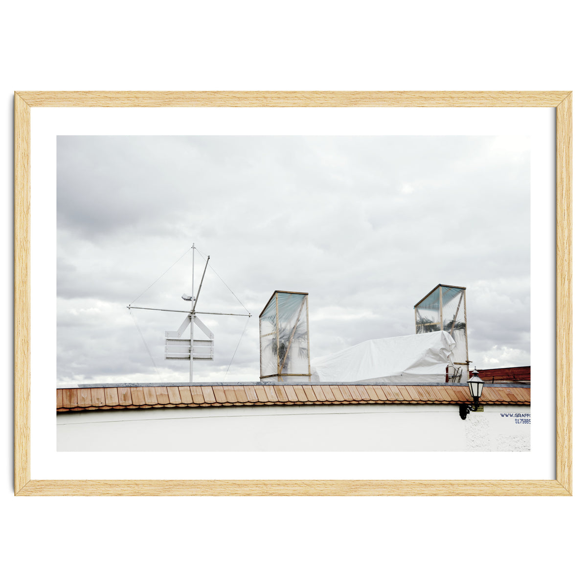 Palm tree waiting for summer