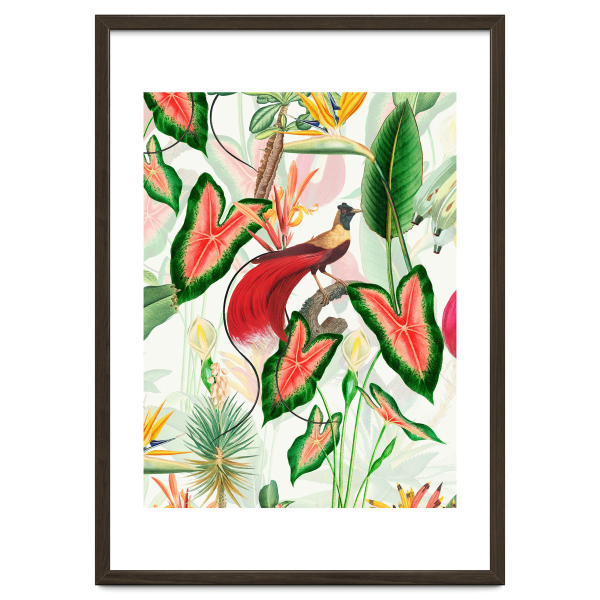 Vintage Bird Of Paradise in Jungle