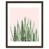 Botanical Balance thumbnail
