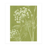Wildflowers III (Print Only) thumbnail