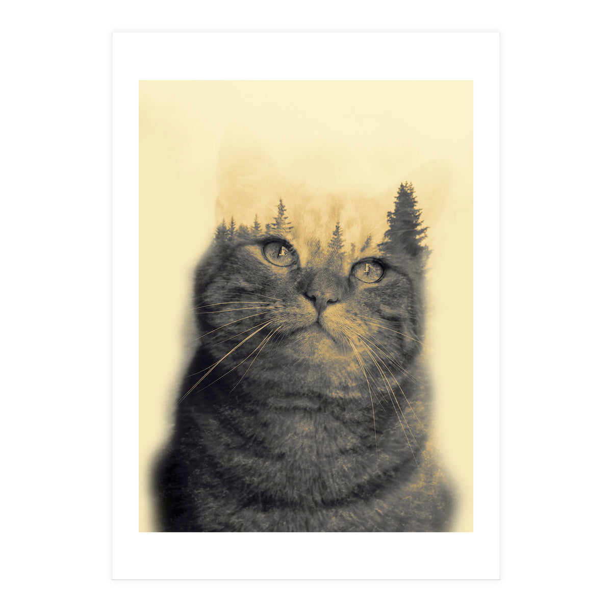 Cat double exposure (Print Only)
