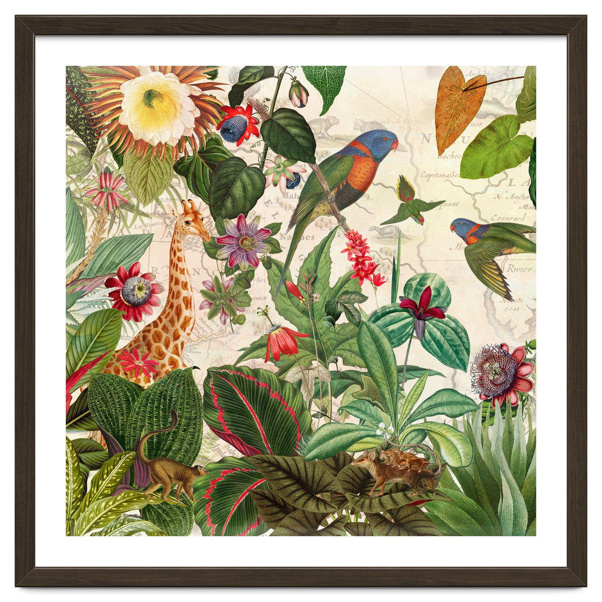 Exotic Lush Jungle And Wild Animals Landscape