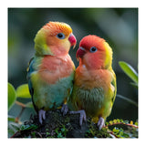 Lovebirds Pair Perched On Mossy Branch Outdoors (Print Only) thumbnail