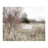 Abandoned Sofa in the middle of nowhere (Print Only) thumbnail