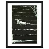 Cat On Stairs thumbnail