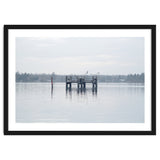 Birds rest in the Lake thumbnail