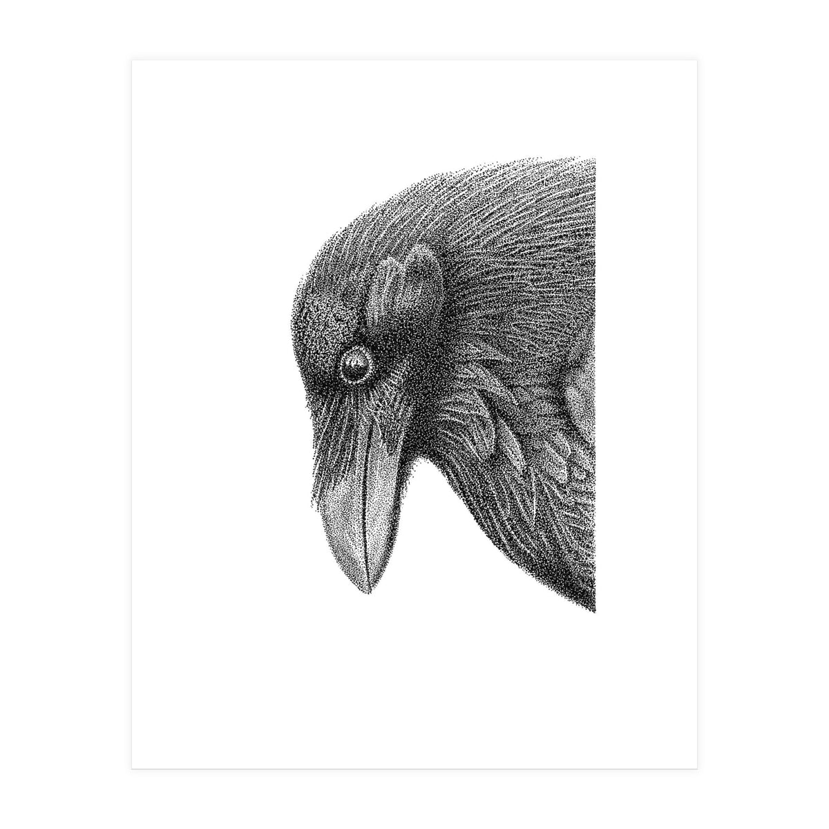 Huginn (Print Only)