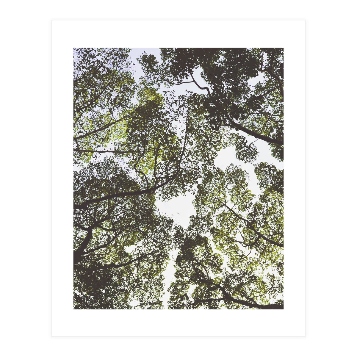 Mother Nature (Print Only)