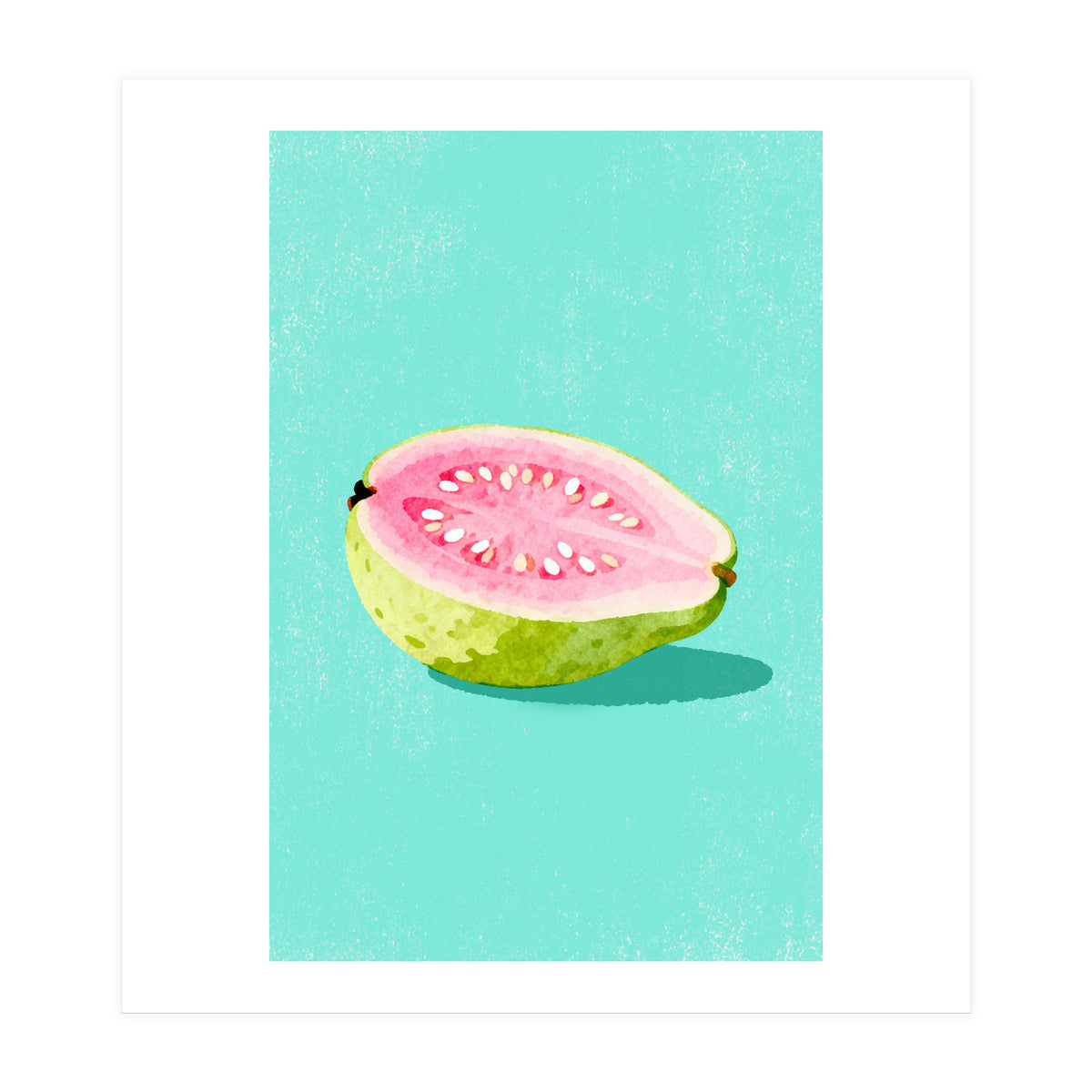 Guava Fruit Illustration (Print Only)