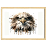 Fierce Bald Eagle Portrait thumbnail