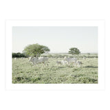 LIVING TOGETHER - WHITE COWS FAMILY (Print Only) thumbnail