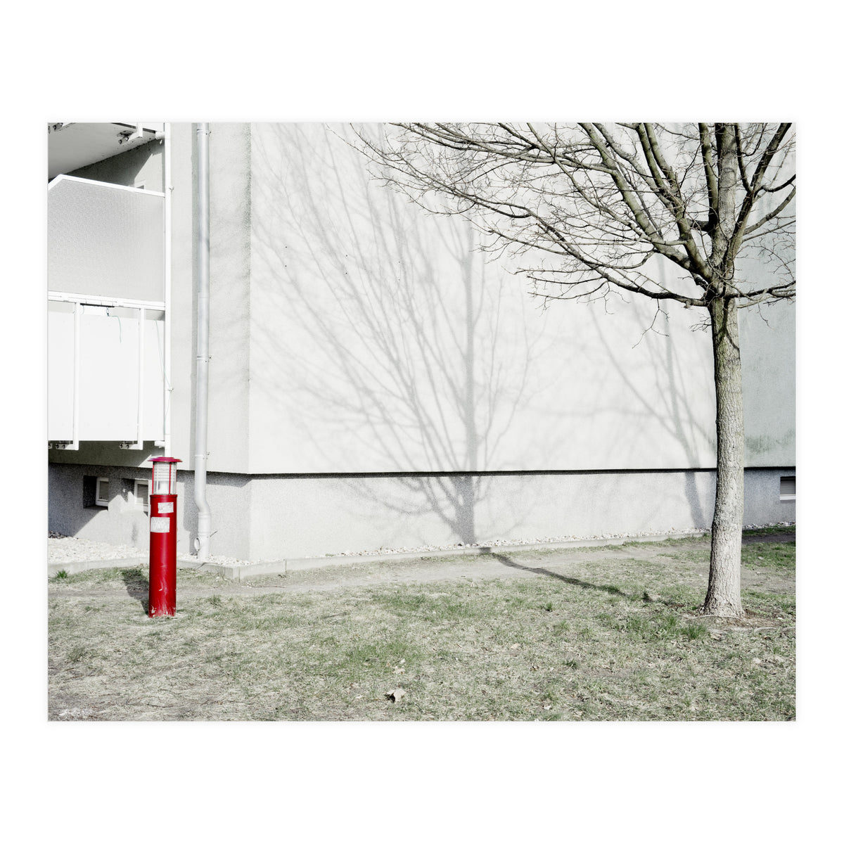 Red light pole and Tree shadow on the wall (Print Only)