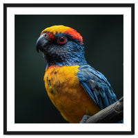 Close Up Colorful Parrot Perched On A Branch