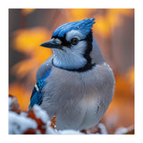 Blue Jay Bird In Winter Snowfall And Leaves (Print Only) thumbnail