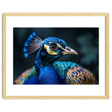 Peacock Head Close Up Majestic Blue Bird thumbnail