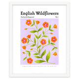 English Wildflowers | Scarlet Pimpernel thumbnail