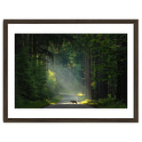 Wolf in the Netherlands thumbnail