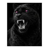 Black leopard with colorful eyes portrait (Print Only) thumbnail