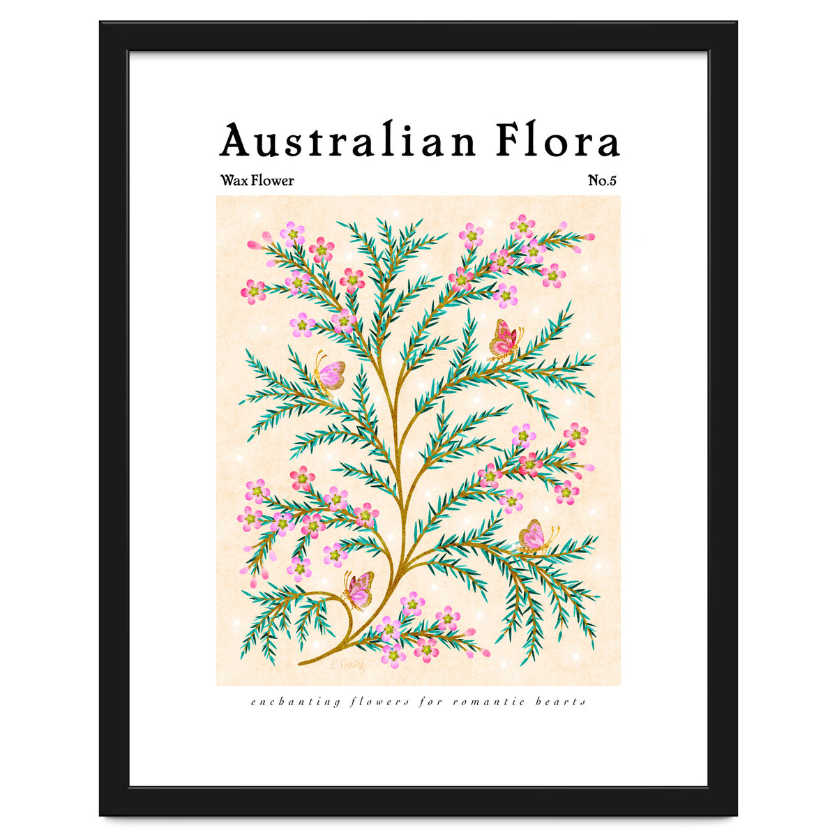 Australian Flora: Wax Flower