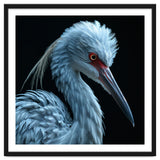 Striking Portrait Of A Blue Heron Bird thumbnail