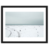 Seagulls in the winter snow beach thumbnail