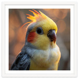 Cockatiel Parrot Portrait With Orange Cheeks thumbnail