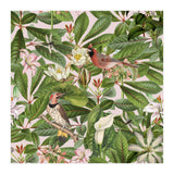 Tropical Bird Garden (Print Only) thumbnail