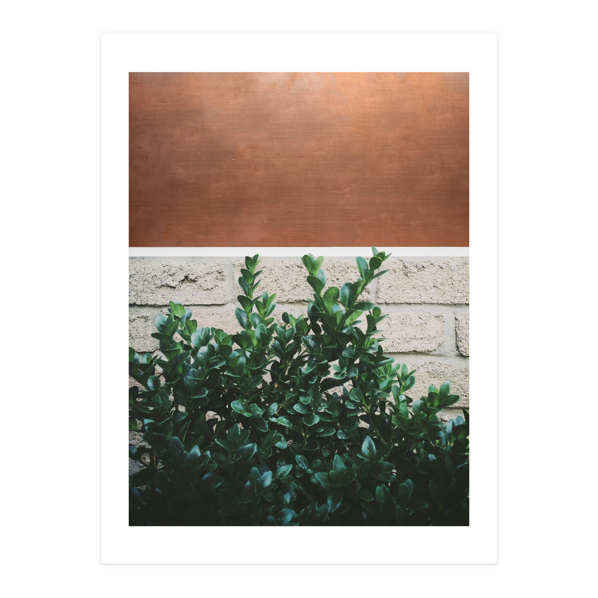 Plant + Copper (Print Only)