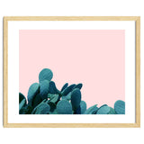 Kaktos thumbnail