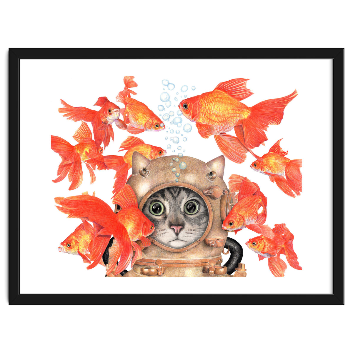 Scuba Catlgbright