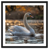 Graceful Swan Gliding On Reflective Water Surface thumbnail