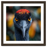 Close Up Of A Strikingly Beautiful Bird Face thumbnail