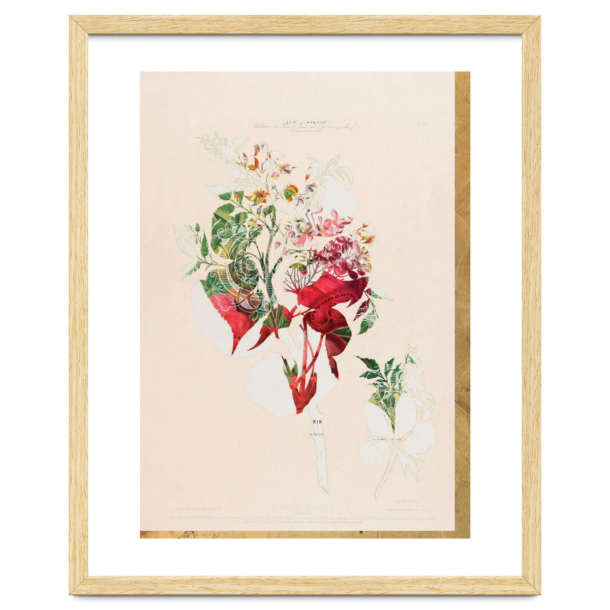 The First Plant · Aufbluehen