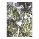 Mother Nature (Print Only) thumbnail