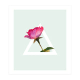 Rose (Print Only) thumbnail