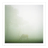 Silence of breath - 09 (Print Only) thumbnail