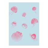 Jellyfish (Print Only) thumbnail